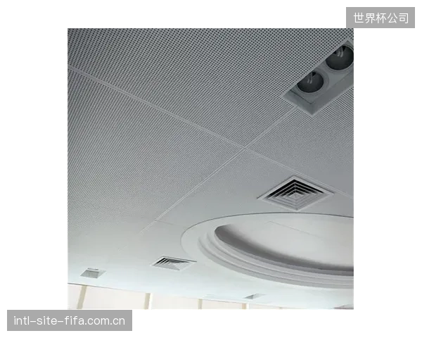低频吸收难题的突破：特定穿孔率铝板在125Hz下的吸音系数测量值达到0.7，满足专业演艺需求